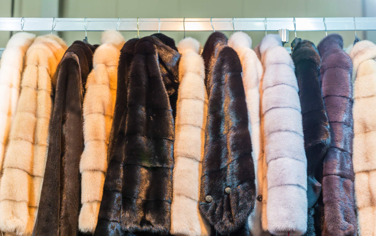 All You Need to Know About Fur Coats of Different Types 1